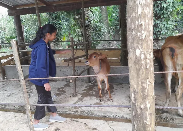 Dew Lee Homestay & Farm House
